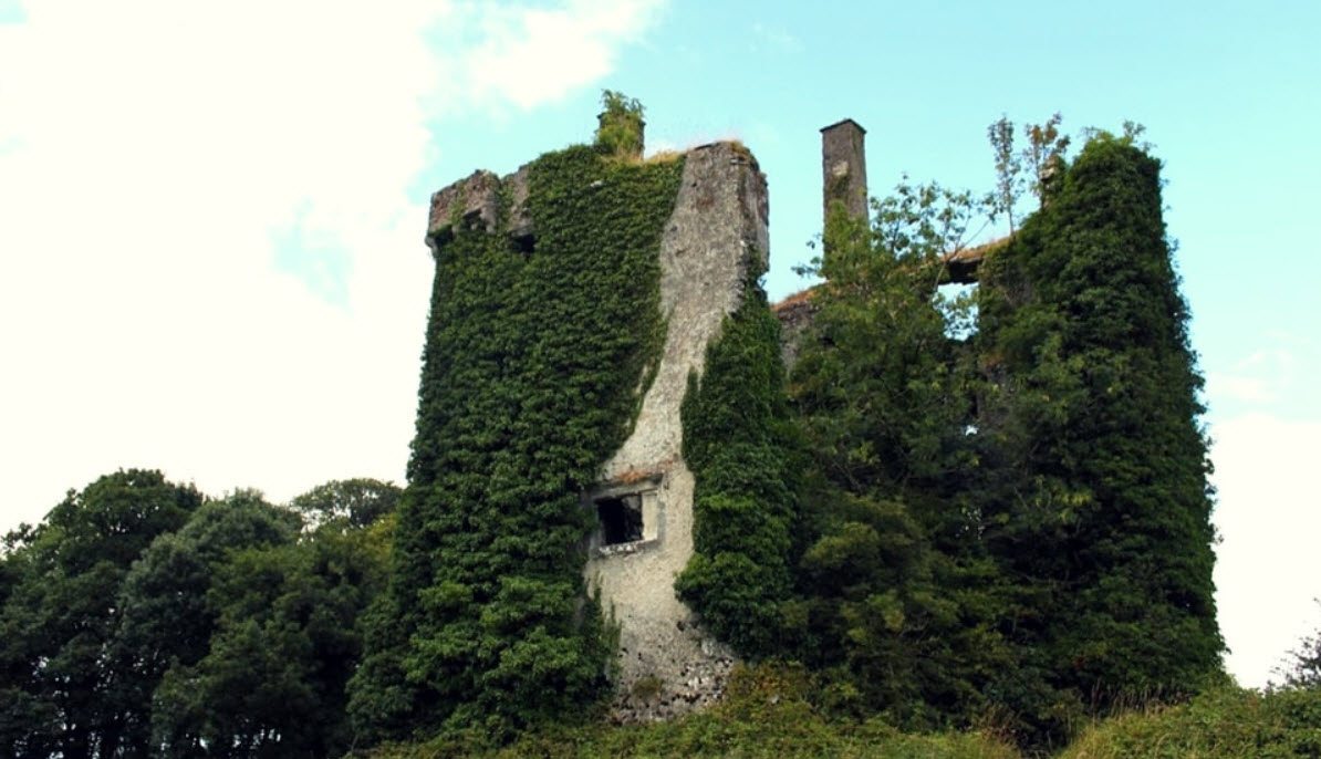 Castle Cooke, Ireland